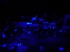 zebre284